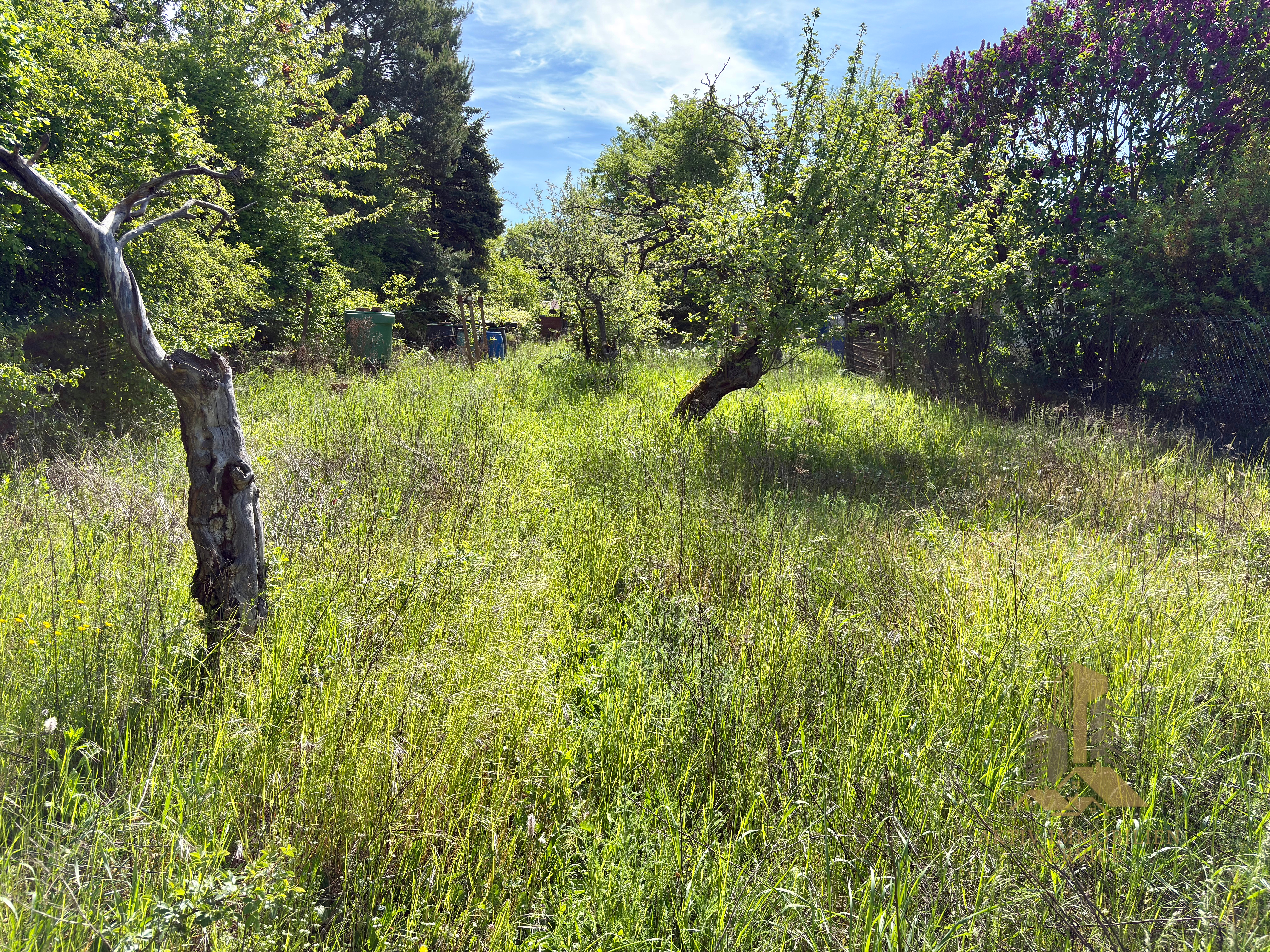 Blick 2